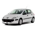 Peugeot 307 2005-2007